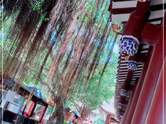 -湄洲岛