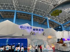 -泉城欧乐堡海洋极地世界