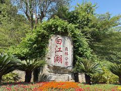 -广州白江湖森林公园