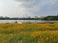 -海珠湖公园