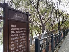 -桃花堤公园