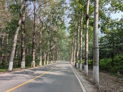 -白河堡水库