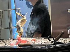 -鸟山鸣·日料食堂(王府井店)