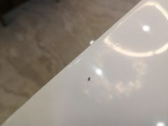 -丽莎沙拉轻食餐厅(国贸店)