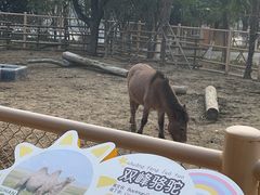 -武汉动物园