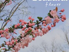 -上海山野camping·户外天幕烧烤·团建拓展营地