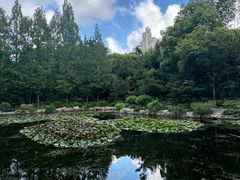 -和平公园