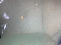 -三江森林温泉度假区