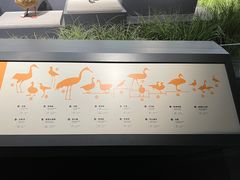 -四川大学博物馆