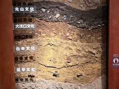 -临沂市博物馆
