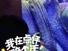 -太平洋海底世界