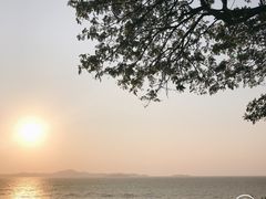 -网红落日悬崖餐厅 The Sky Gallery
