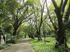 -天河儿童公园
