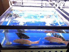 水产区-无锡苏宁银河国际酒店-悦府65中餐厅