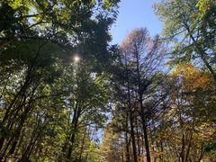 -洛阳白云山景区