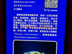 -福州罗源湾海洋世界旅游区