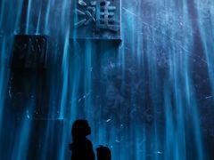 -中国湿地博物馆