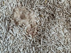 -谐和贝康宠物医院24小时·宠保定点(急重症转诊中心)