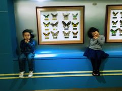 -上海昆虫博物馆