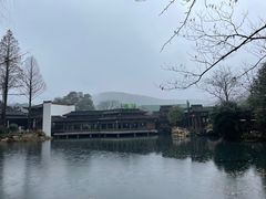 -中国茶叶博物馆(双峰馆区)