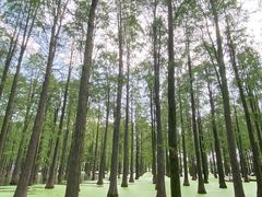 -渌洋湖湿地公园