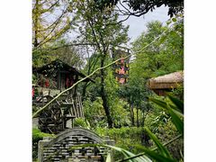 -青城甲(青城山店)