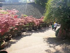 -峨眉山报国寺