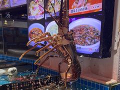 -東城故事·尋找姆媽的味道(玉兰路店)
