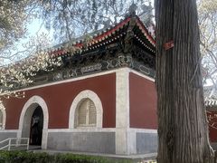-北京艺术博物馆(万寿寺)