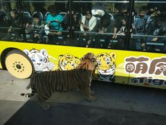 -西安秦岭野生动物园