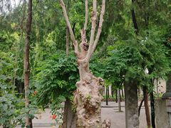 -西安关中民俗艺术博物院