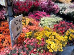 -循礼门鲜花花市(武汉循礼门店)