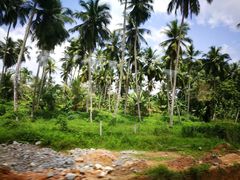 -班达拉奈克国际机场