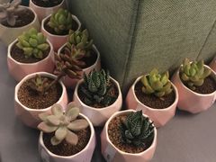 -潮粥荟·潮汕砂锅粥(朝阳大悦城店)