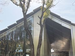 -金鸡湖景区