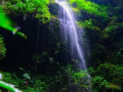 -莫里热带雨林景区