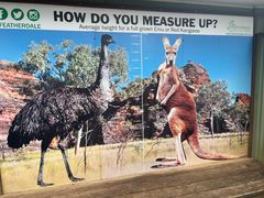 -费瑟代尔野生动物园