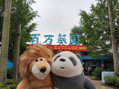 -百万葵园
