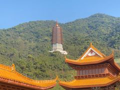 -深圳仙湖植物园