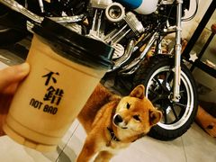 -NOTBAD 须时·咖啡馆