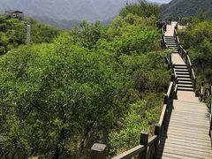 -大岭沟猕猴桃谷风景区