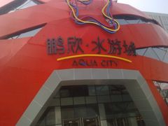 -鹏欣水游城