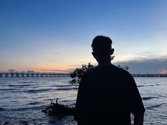 -宝安西湾红树林湿地公园