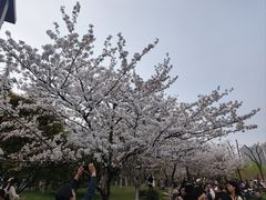 -堤角公园