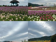 -径山花海