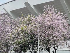 -天河体育中心