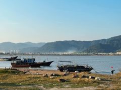 -北岐滩涂