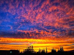 -上海旅游集散中心(万体站)