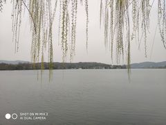 -西湖外事游船(花港观鱼码头)