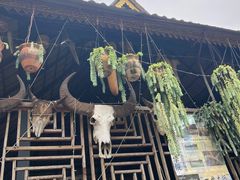 -西双版纳傣族园